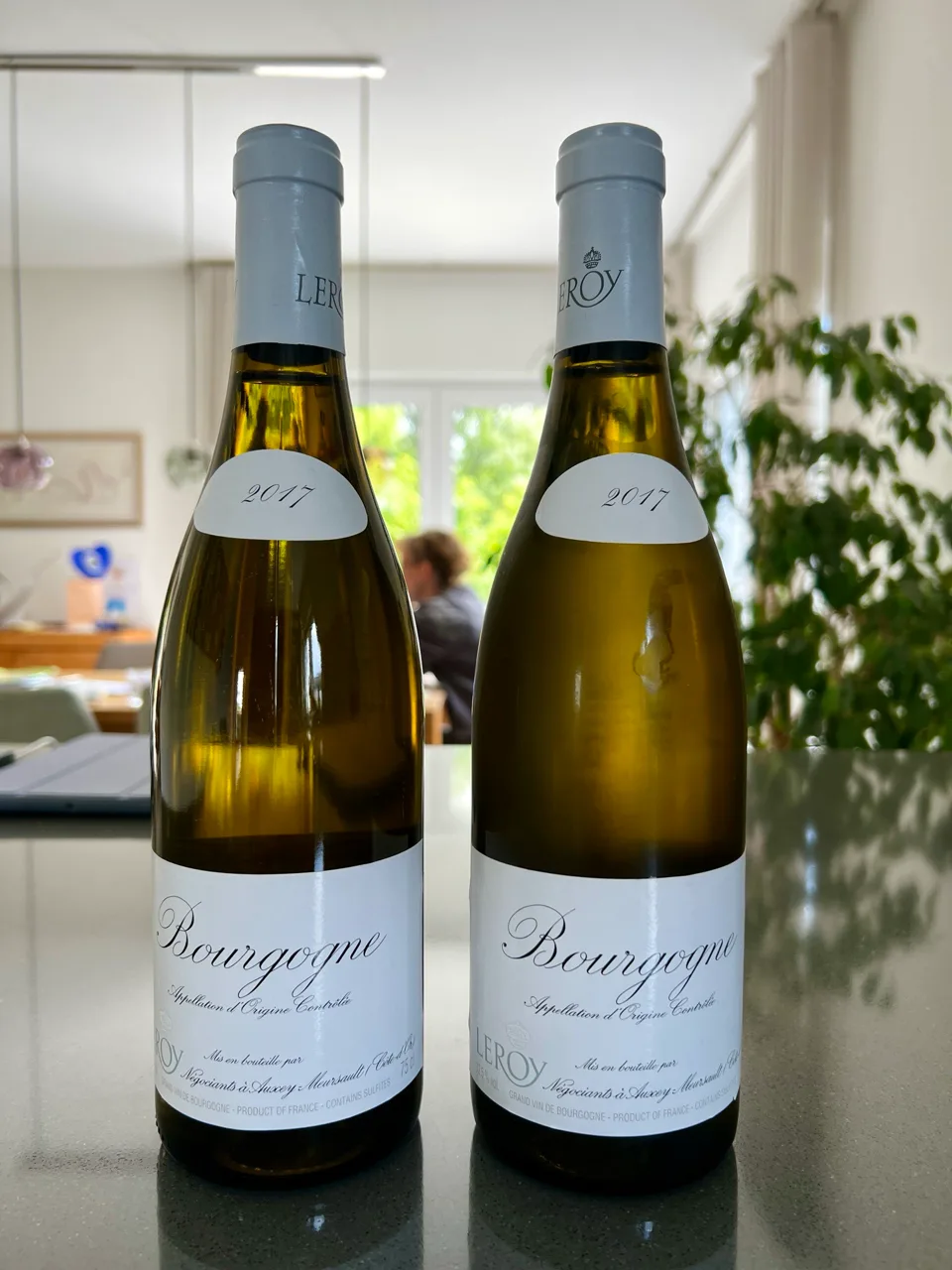 2 Flaschen Leroy Bourgogne Blanc 2017 - image 1