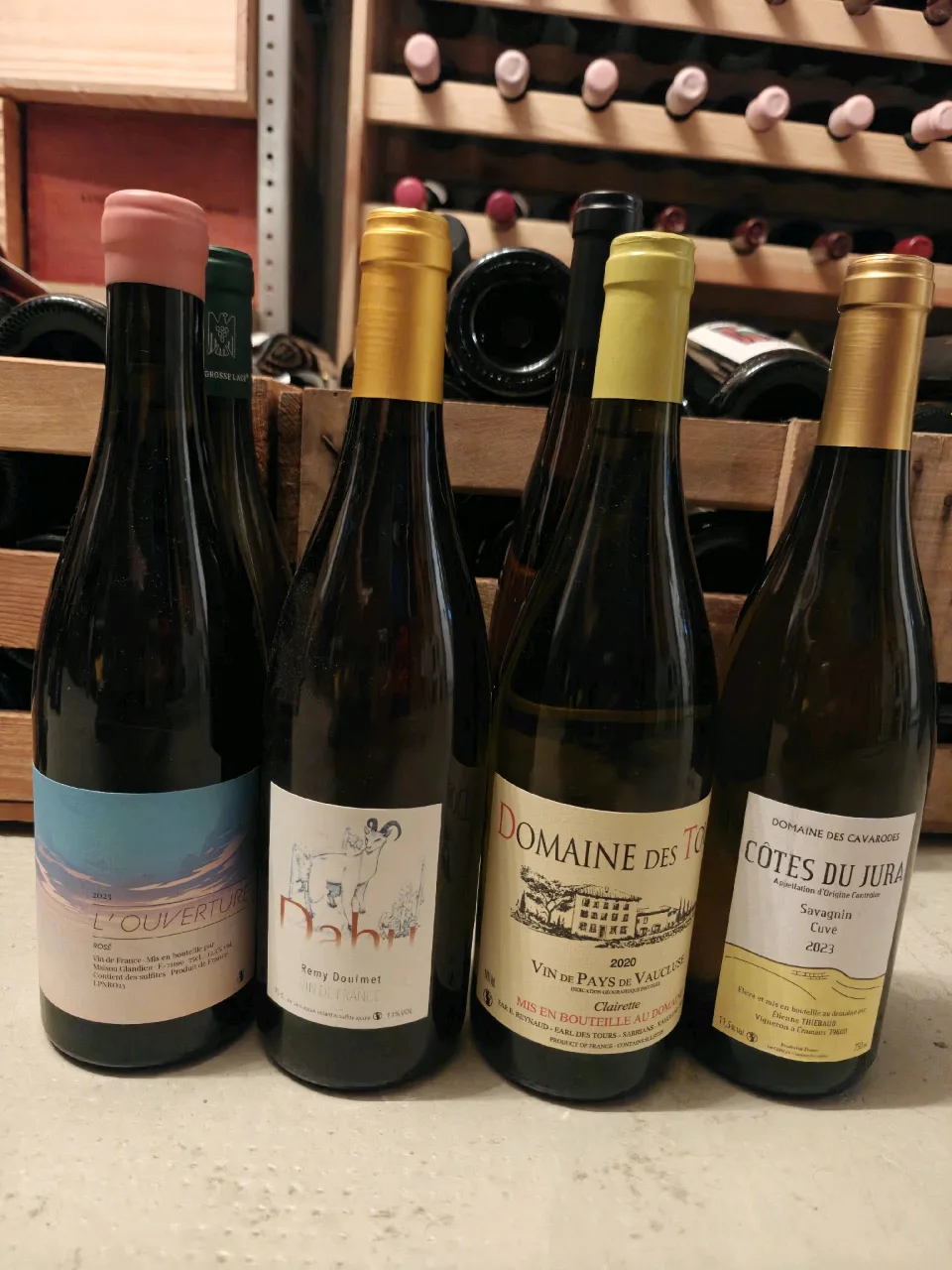 Frankreich Paket mit Glandien und Reynaud - image 1