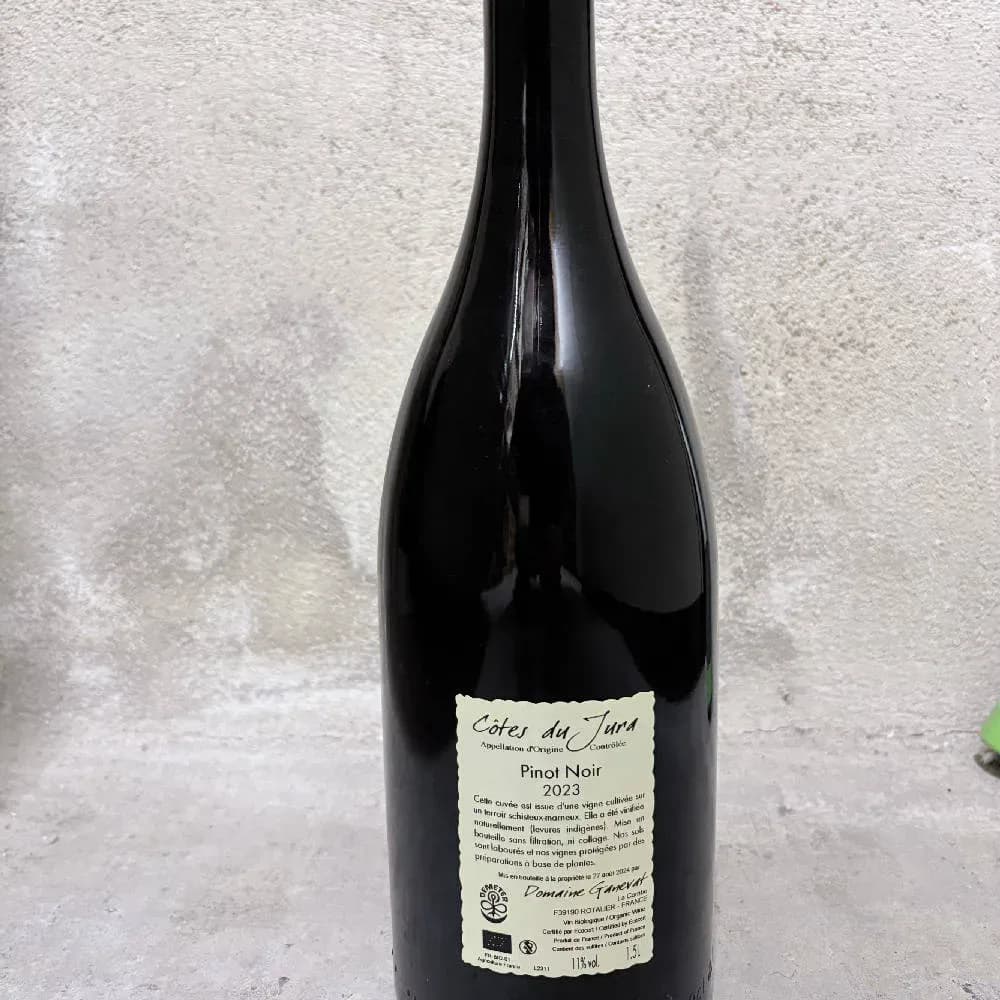 J. F. Ganevat - En Billat Magnum Pinot Noir 2023 - image 4