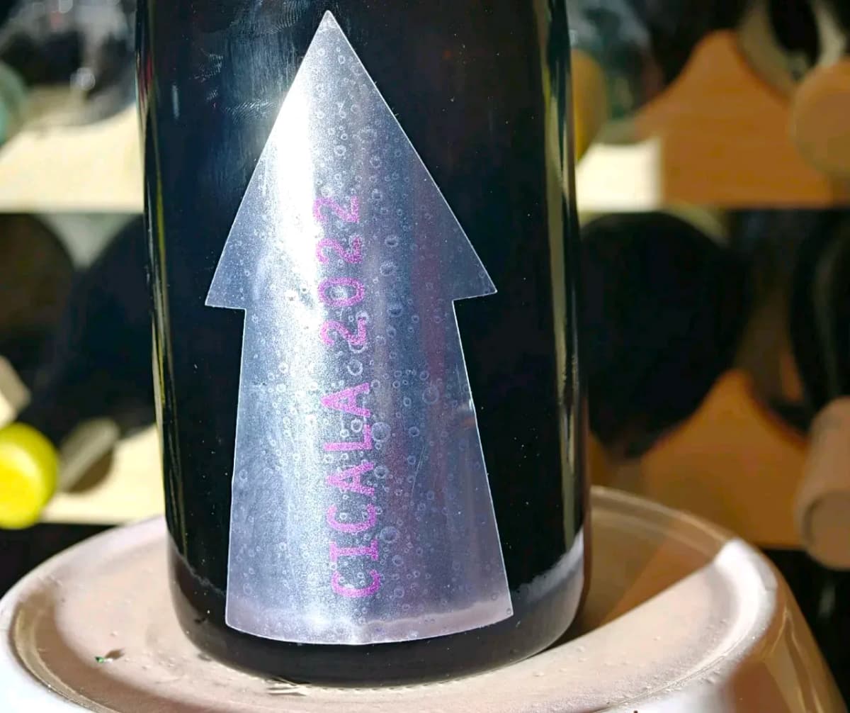 1/300 Serragghia Gabrio Bini Cicala Sekt weit unter ab Hof - image 3