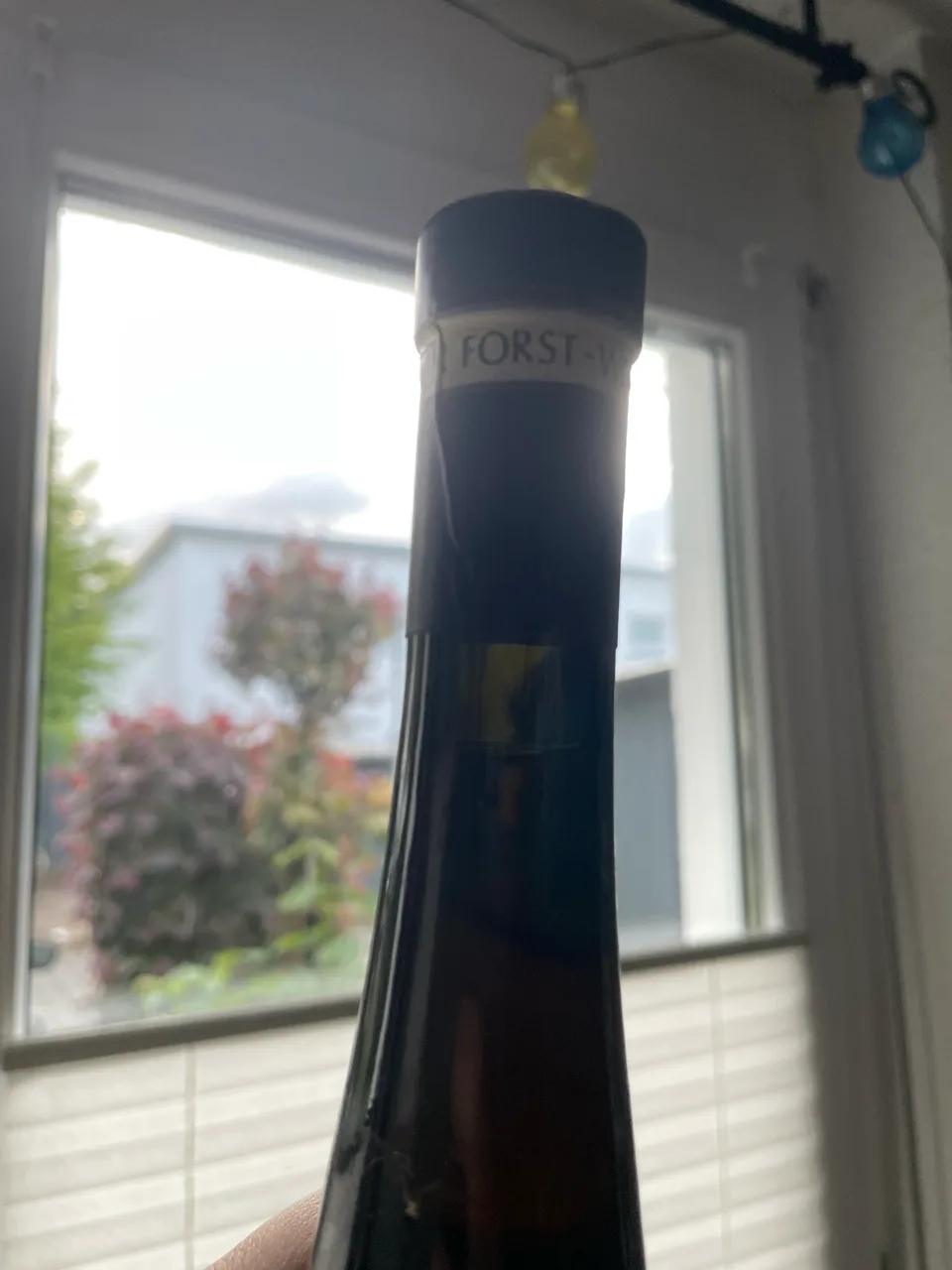 Weingut Eugen Müller Forster Jesuitengarten Riesling Beerenauslese Pfalz 1998 Hammer - image 4
