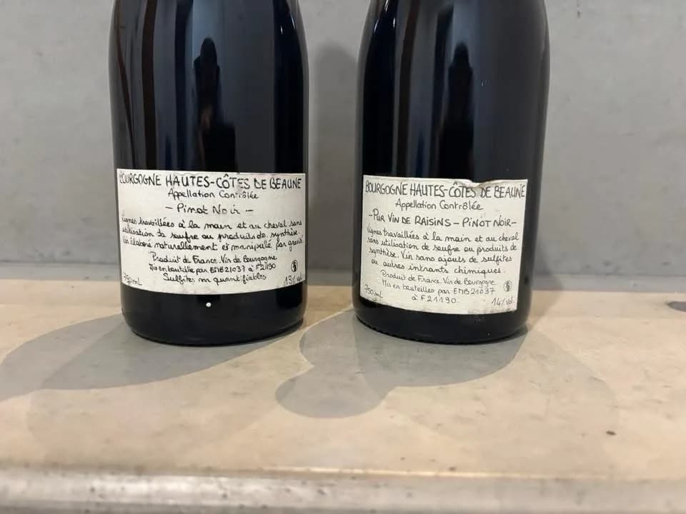 Domaine Dandelion - image 2