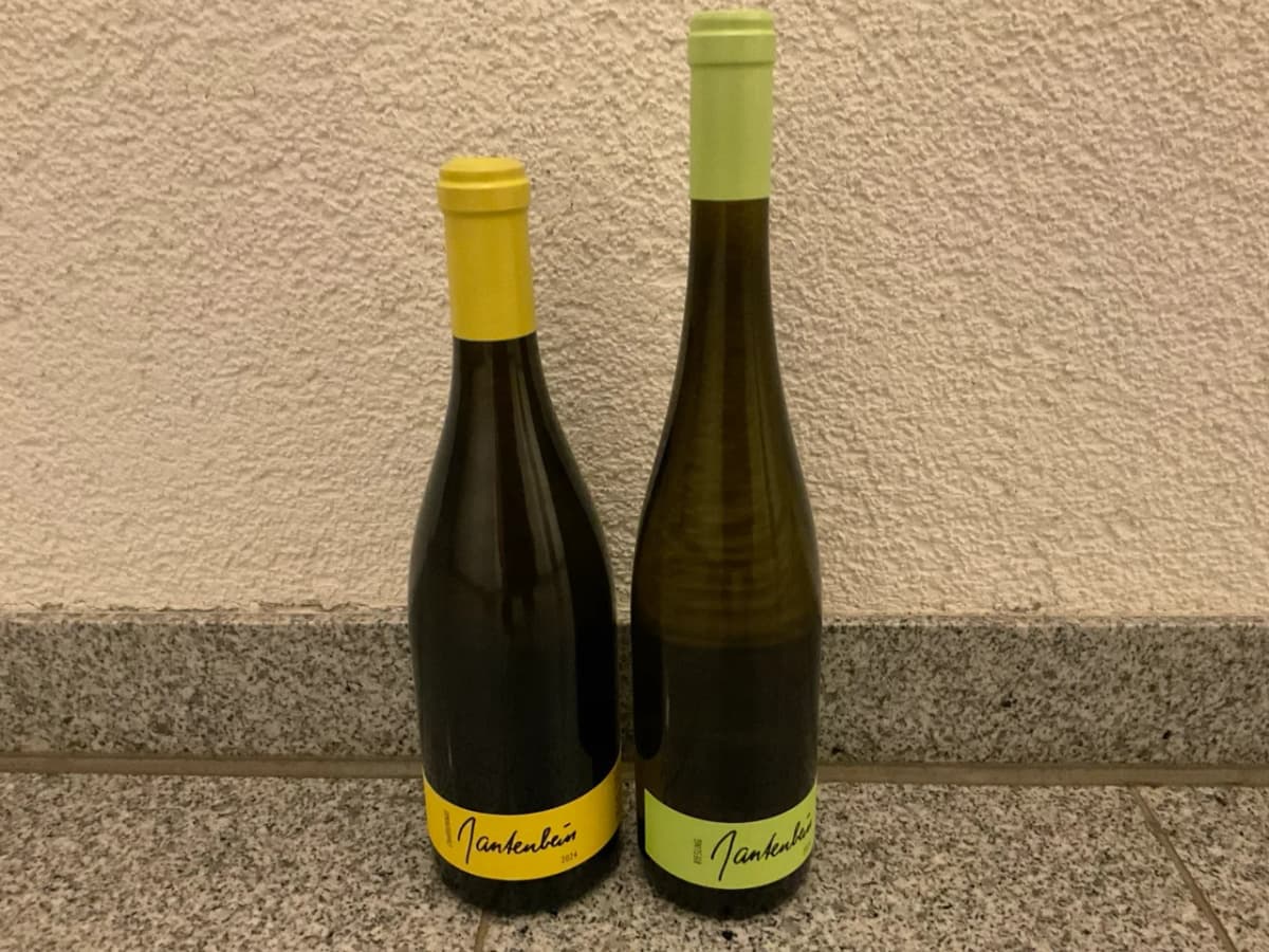 Gantenbein Duo Chardonnay + Riesling 2024 - image 1