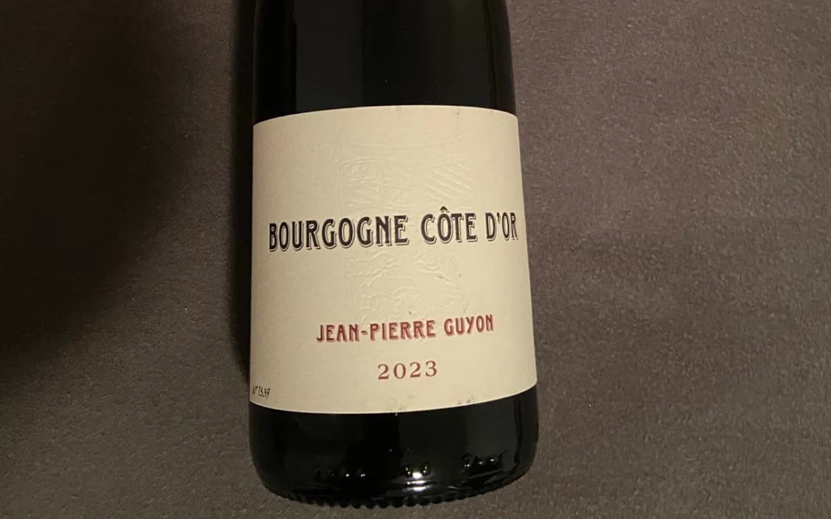 Jean-Pierre Guyon: Bourgogne Côte D'Or - image 1