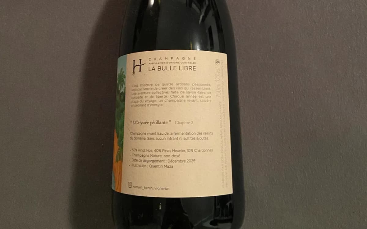 Romain Henin: L'Odysée Pétillante - Chapire 2 - La Bulle Libre - image 2