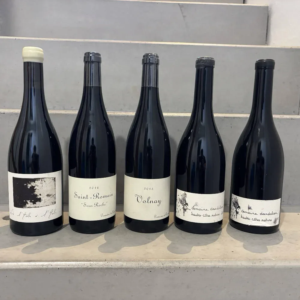 pinot Noir - Burgund Raketen - image 1