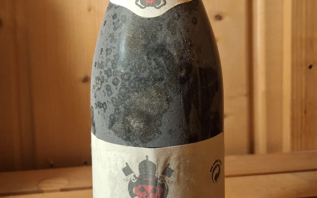Weinsammlung – Knipser Cuvée X 2006 + Châteauneuf 1992 – Kellerfund - image 1