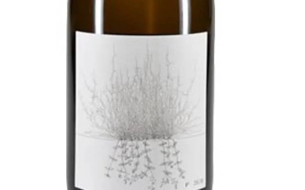 Suche Weine von Johannes Aufricht - image 1