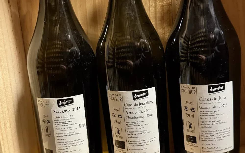 Pignier Trio - image 4