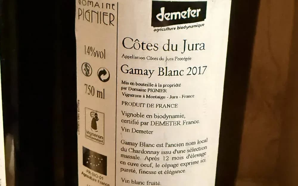 Pignier Trio - image 9